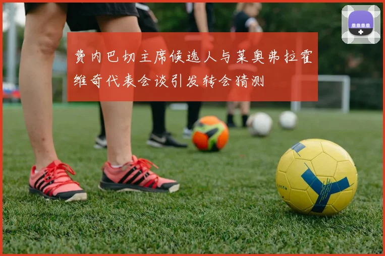 费内巴切主席候选人与莱奥弗拉霍维奇代表会谈引发转会猜测